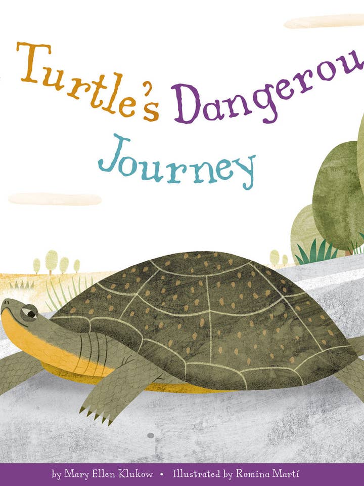 A Turtle's Dangerous Journey for wholesale by Amicus Publishing