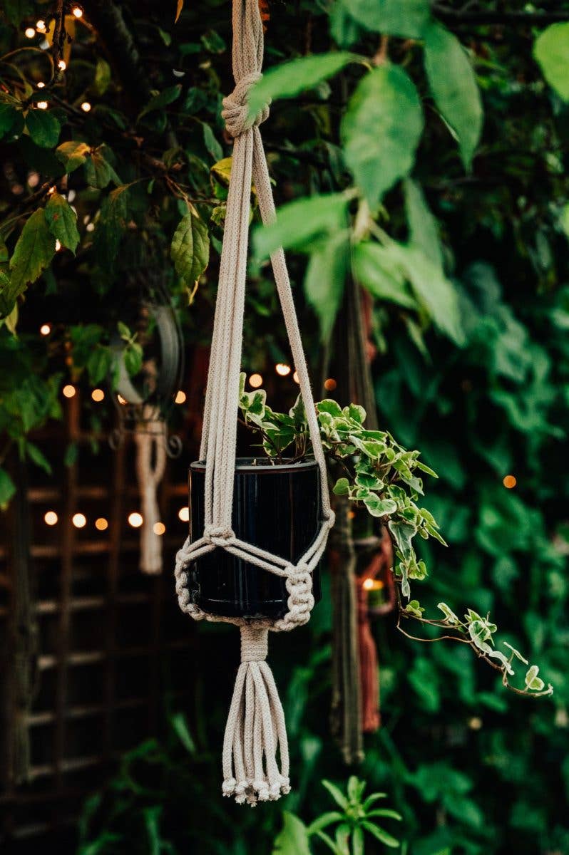 Old Green – wholesale Hanging planter – Rust Oeko-Tex Cotton Cord Hanger2