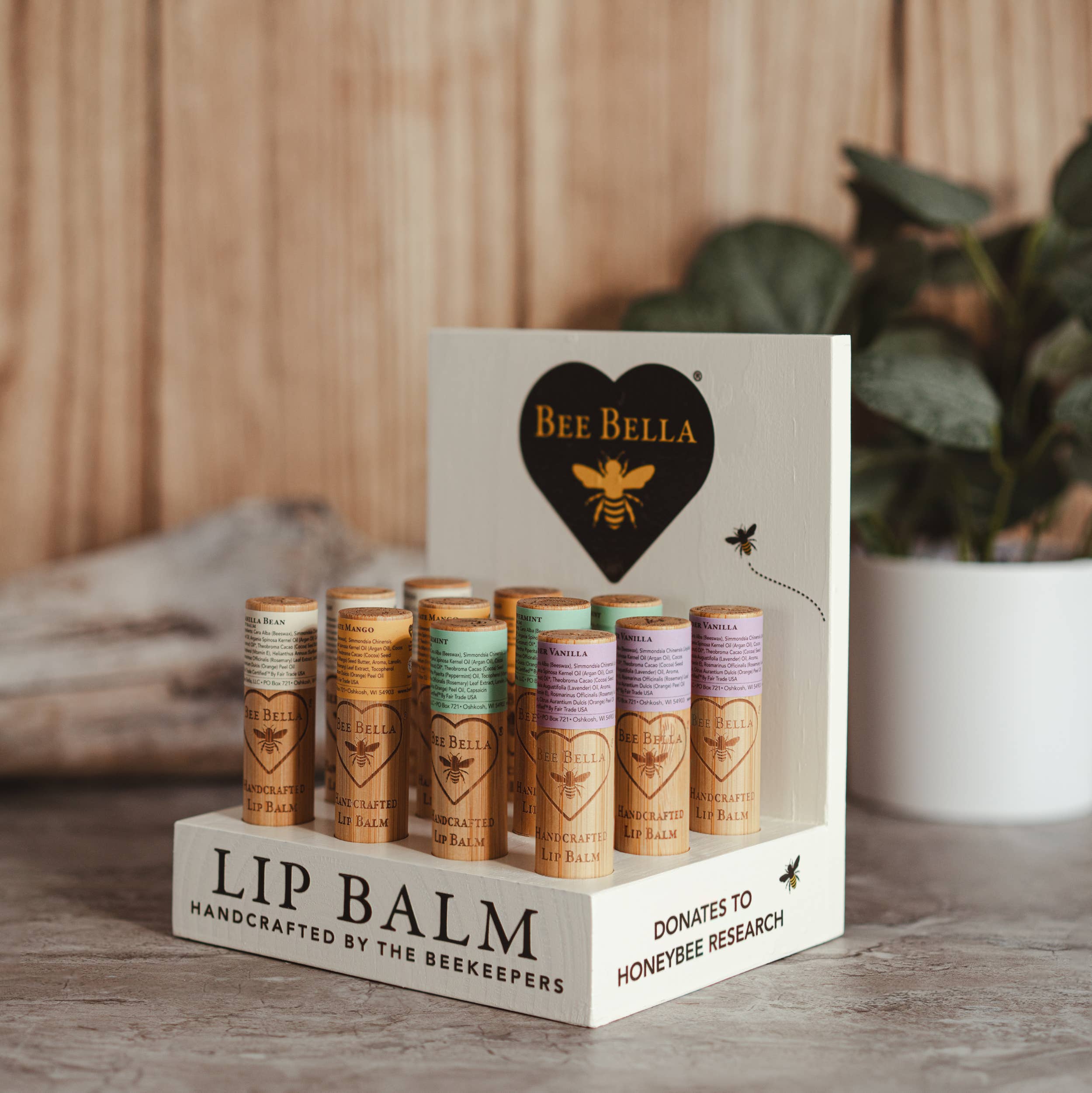 Bee Bella - Wholesale Lip Balm Set - Lip Balm Table Top Display 12 (Not Filled)5