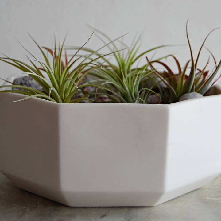 Niik Creative Co. - Vendita all'ingrosso Vasi per piante - Set di Vasi in Ceramica a Nido Ottagonale2