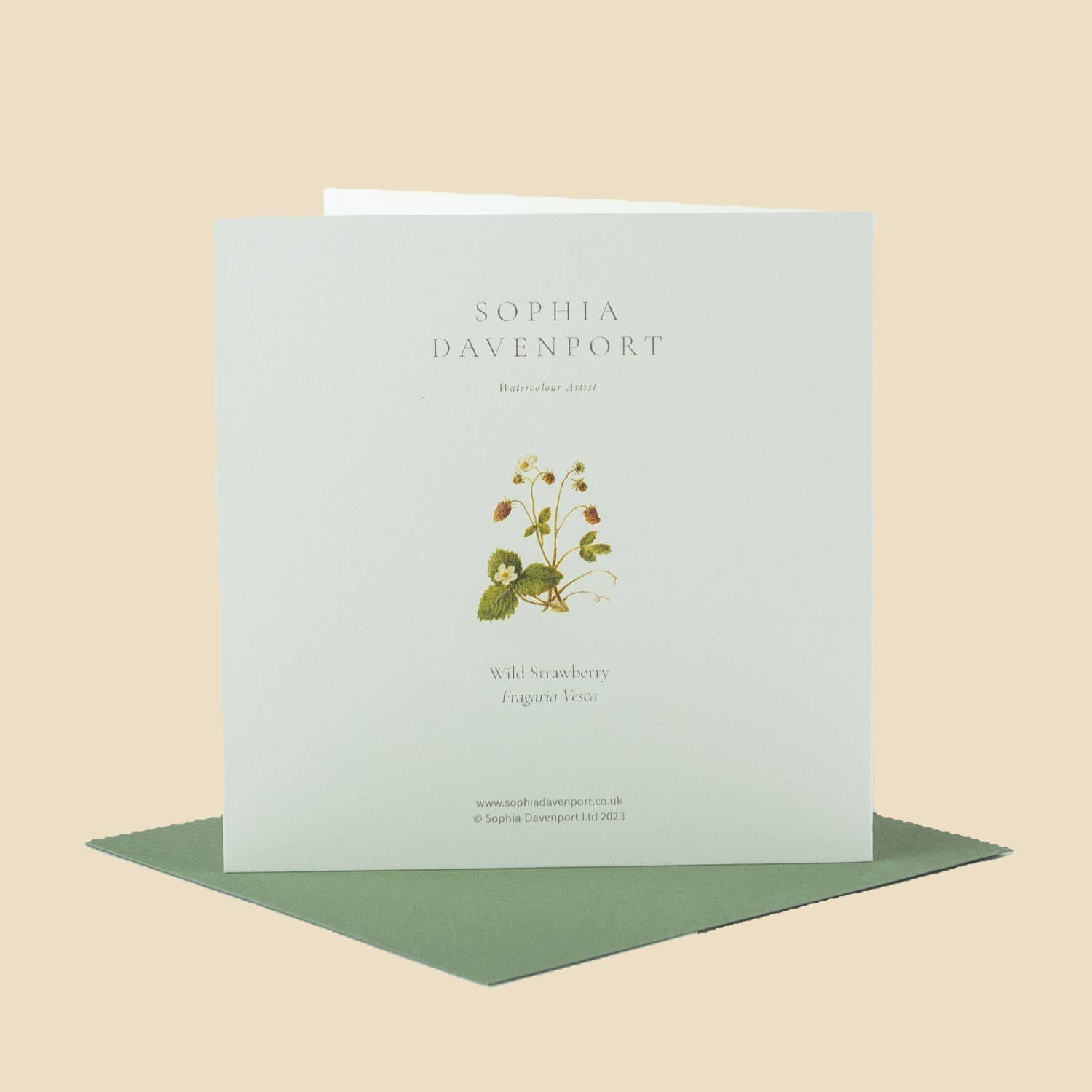Sophia Davenport - Wholesale Everyday Greeting Card - Wildflower Greeting Cards and Notelets57