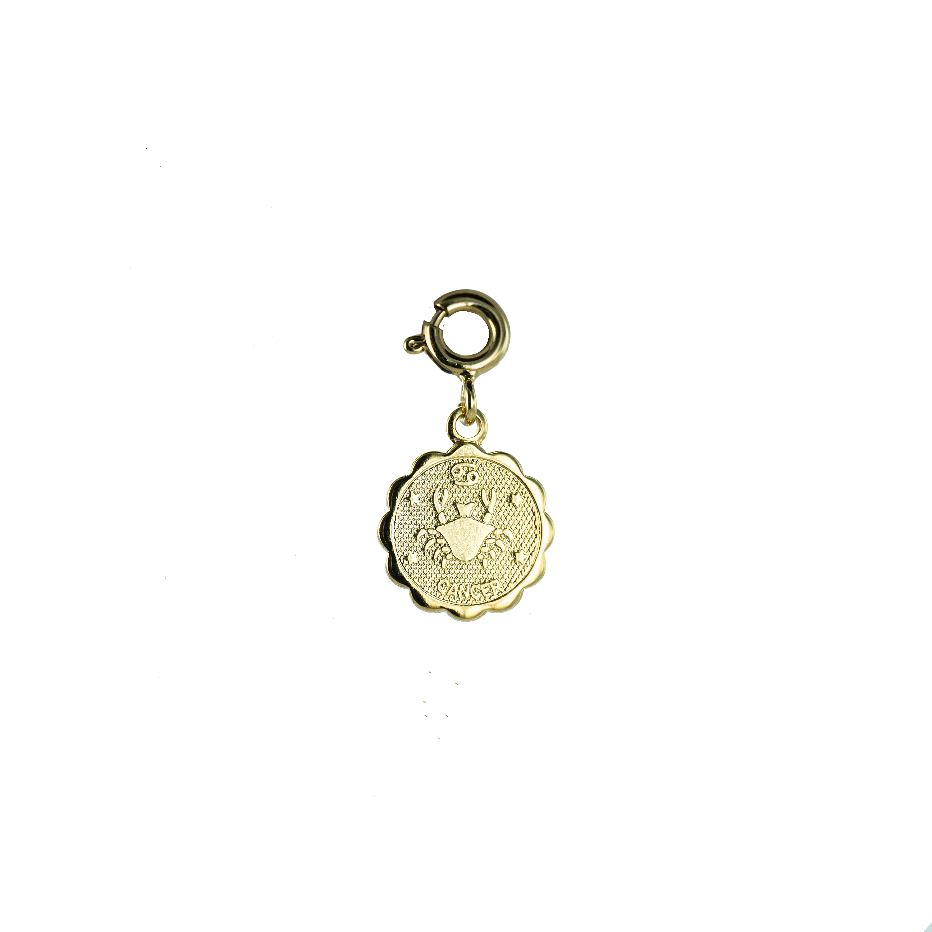 Bijoux Fabrication Française - Wholesale Individual Charm/Pendant - Removable Medal/Charm - 18K Gold - Astrological Sign1