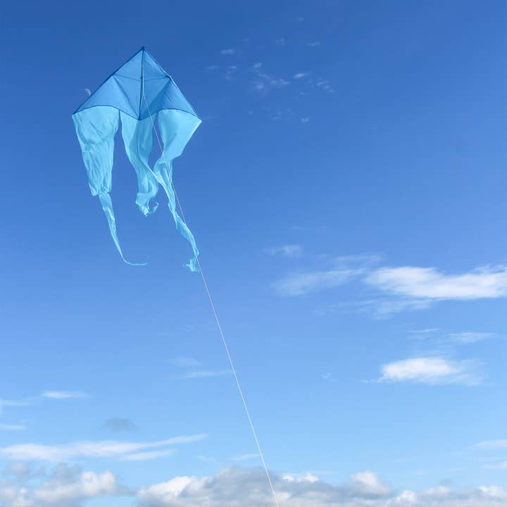 In the Breeze, LLC. - Wholesale Kite - Blue 77" Wave Delta Kite3