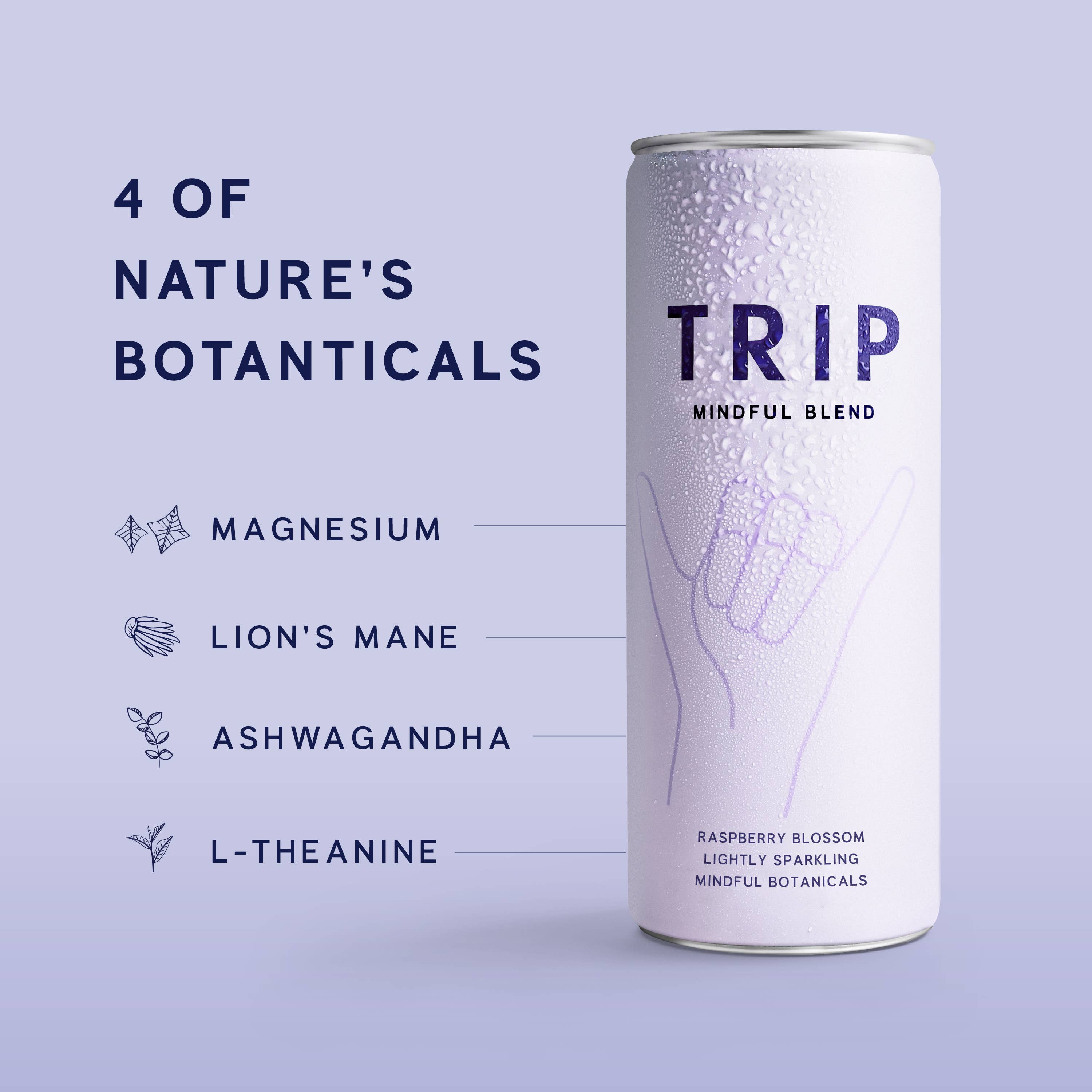 TRIP - Wholesale Non-Alcoholic Aperitif/Mocktail - Raspberry Blossom Mindful Blend2