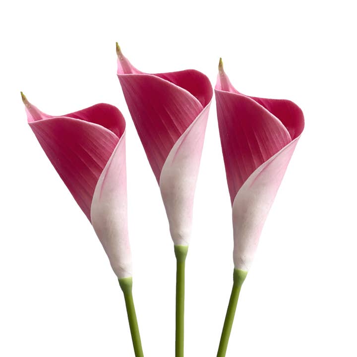 Sun Decorer - Wholesale Artificial flowers - Artificial Calla Lily Flower Stem 25 inch Tall (Set of 3)6