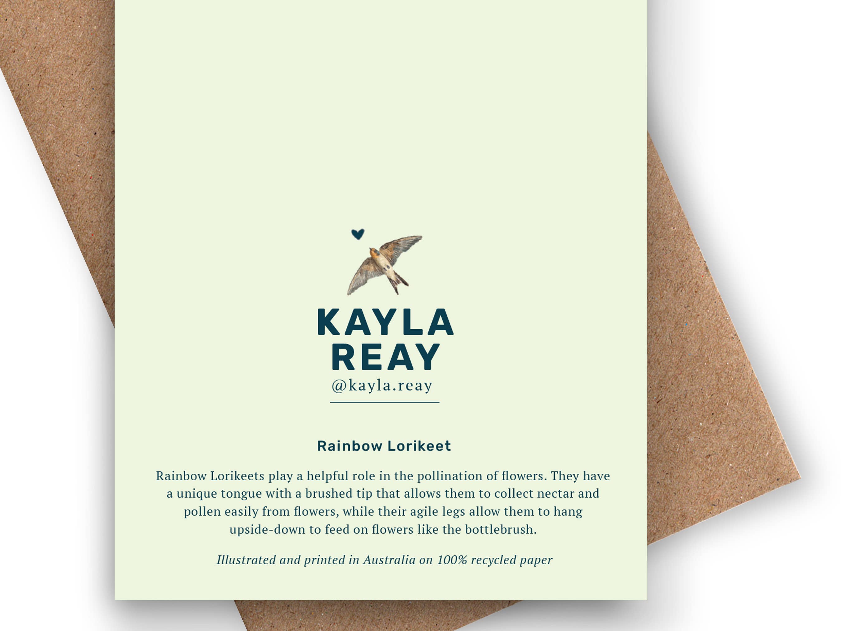 Kayla Reay Design - Wholesale Everyday Greeting Card - Rainbow Lorikeet Greeting Card - Australian Bird Art5