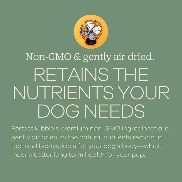 Yumwoof Natural Pet Food - Wholesale Pet Food - Dog - Perfect Kibble Air-Dried Dog Food2