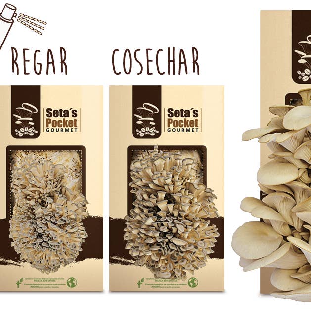 Garden Pocket - Venta al por mayor Kit de cocina - UD - SETAS POCKET GOURMET