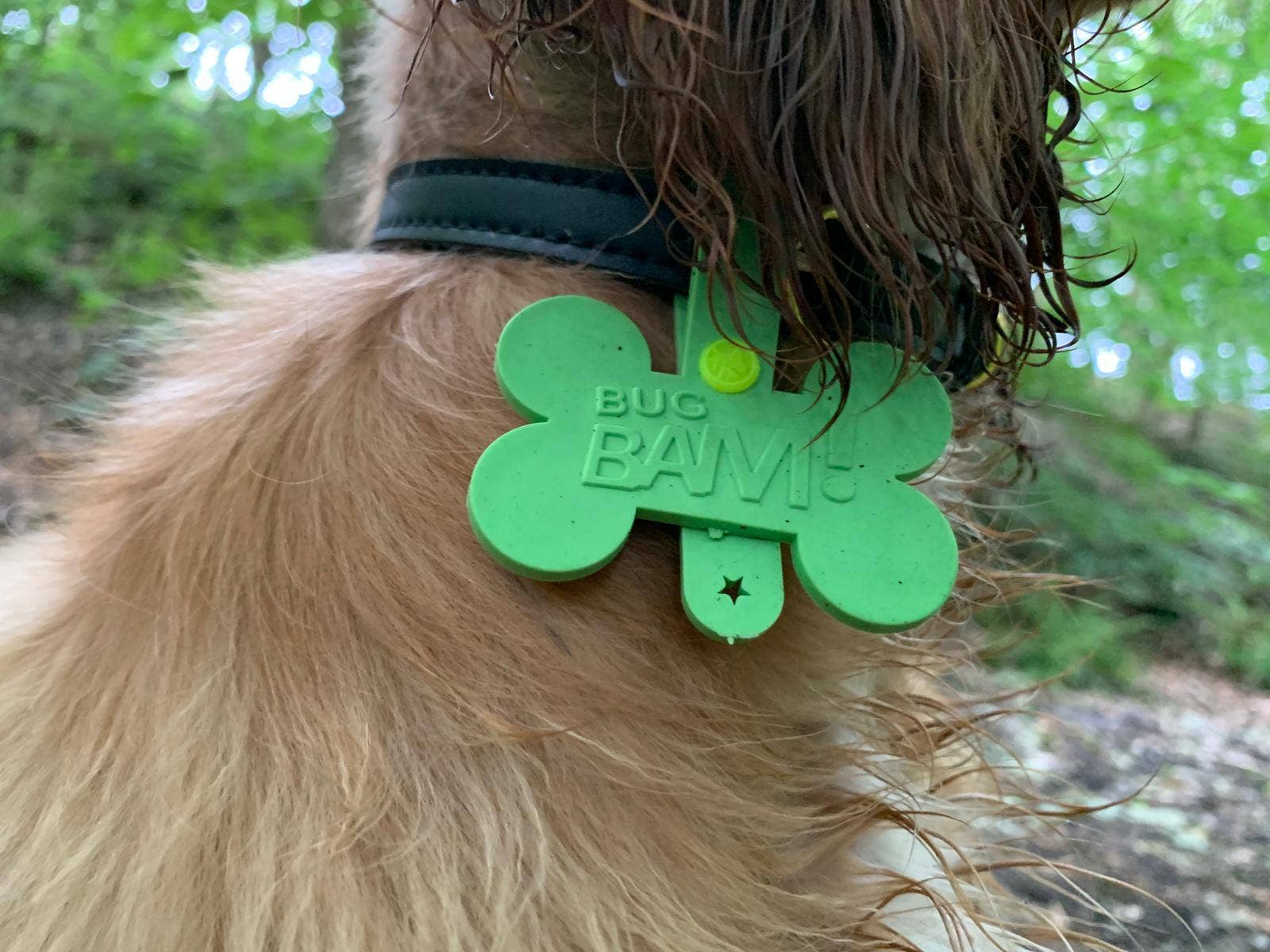 Bug Bam! - Vendita all'ingrosso Collare - Cani - Medagliette Antizanzare, Pulci e Zecche per Animali (Confezione da 2)7