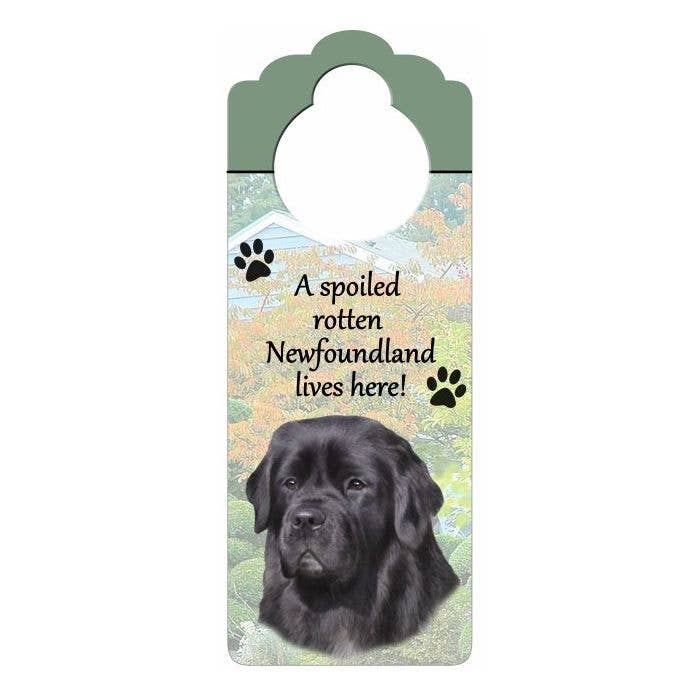 Notas da maçaneta de Newfoundland por atacado de E&S Pets