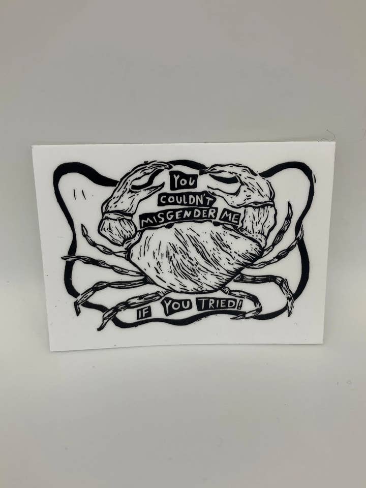 Adesivo in vinile, 7,6 cm, con scritta «You Couldn't Misgender Me if You Tried» per la vendita all'ingrosso da parte di Coyotesnout
