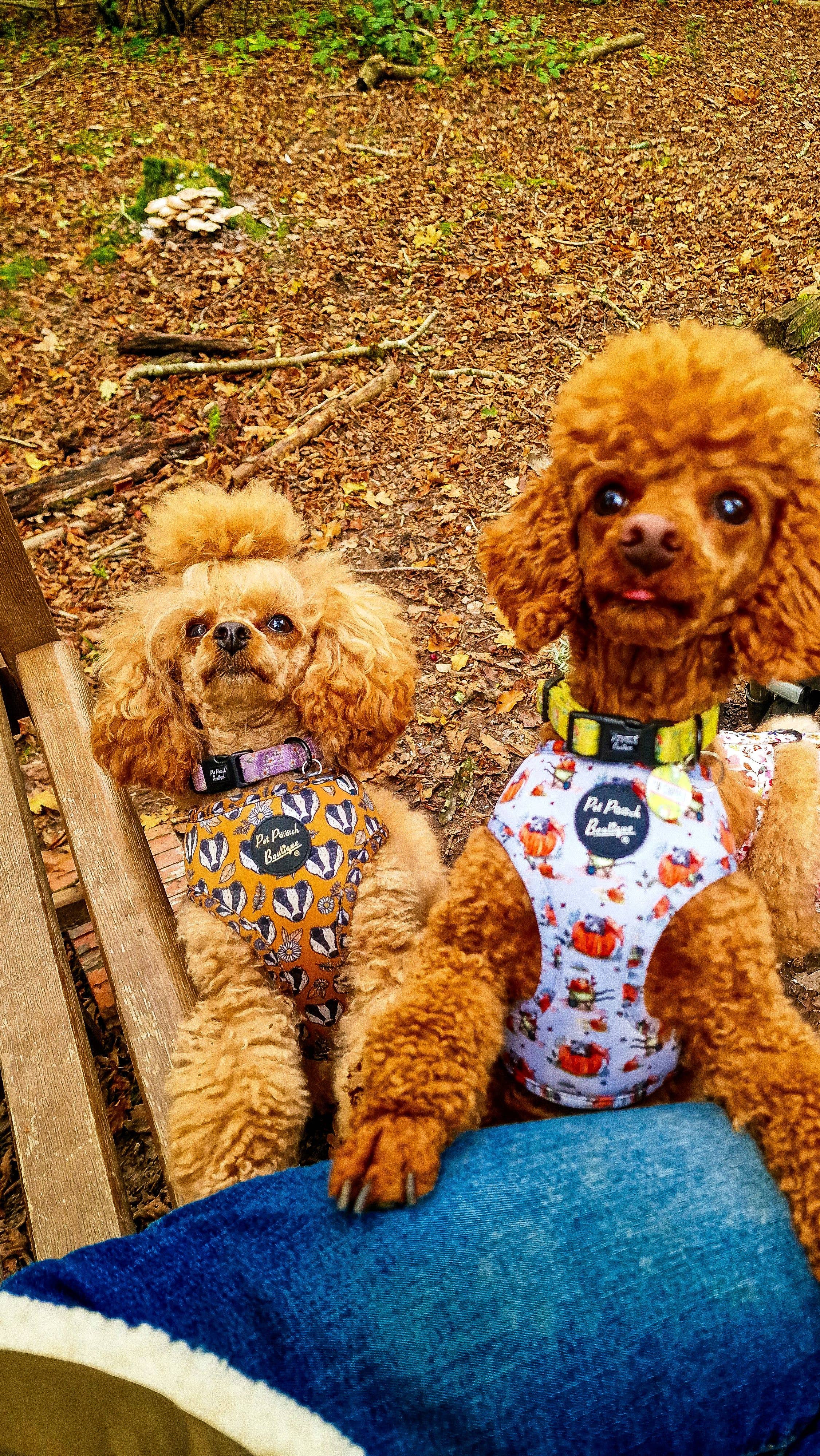 Pet Pooch Boutique – wholesale Pet harness – Dog – Woodland Badger Puppy Dog Harness (Autumn/mustard yellow)13