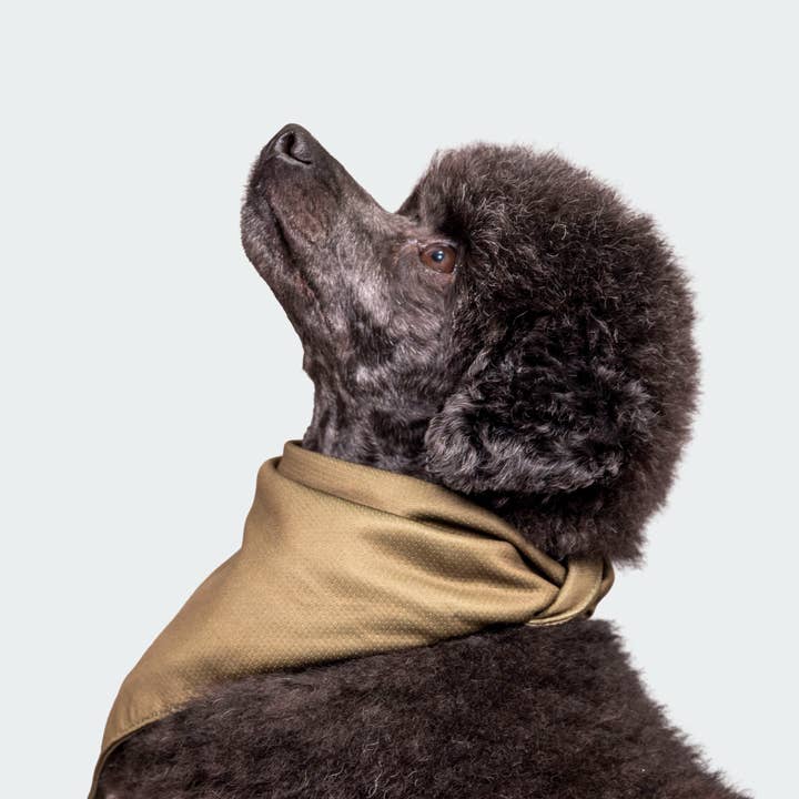 Bandana voor wholesale door Trimmi