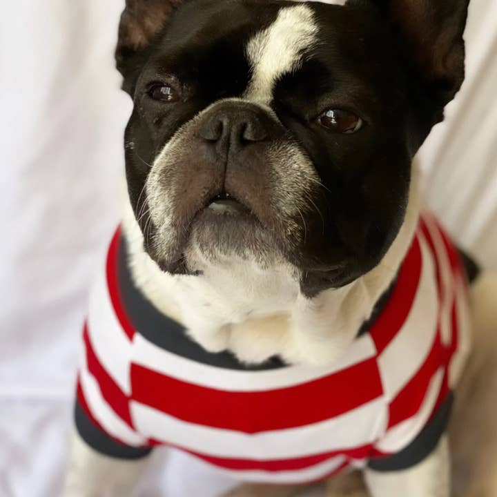 Homerun Pup Shirt - Red and white for wholesale by BOSSPUP