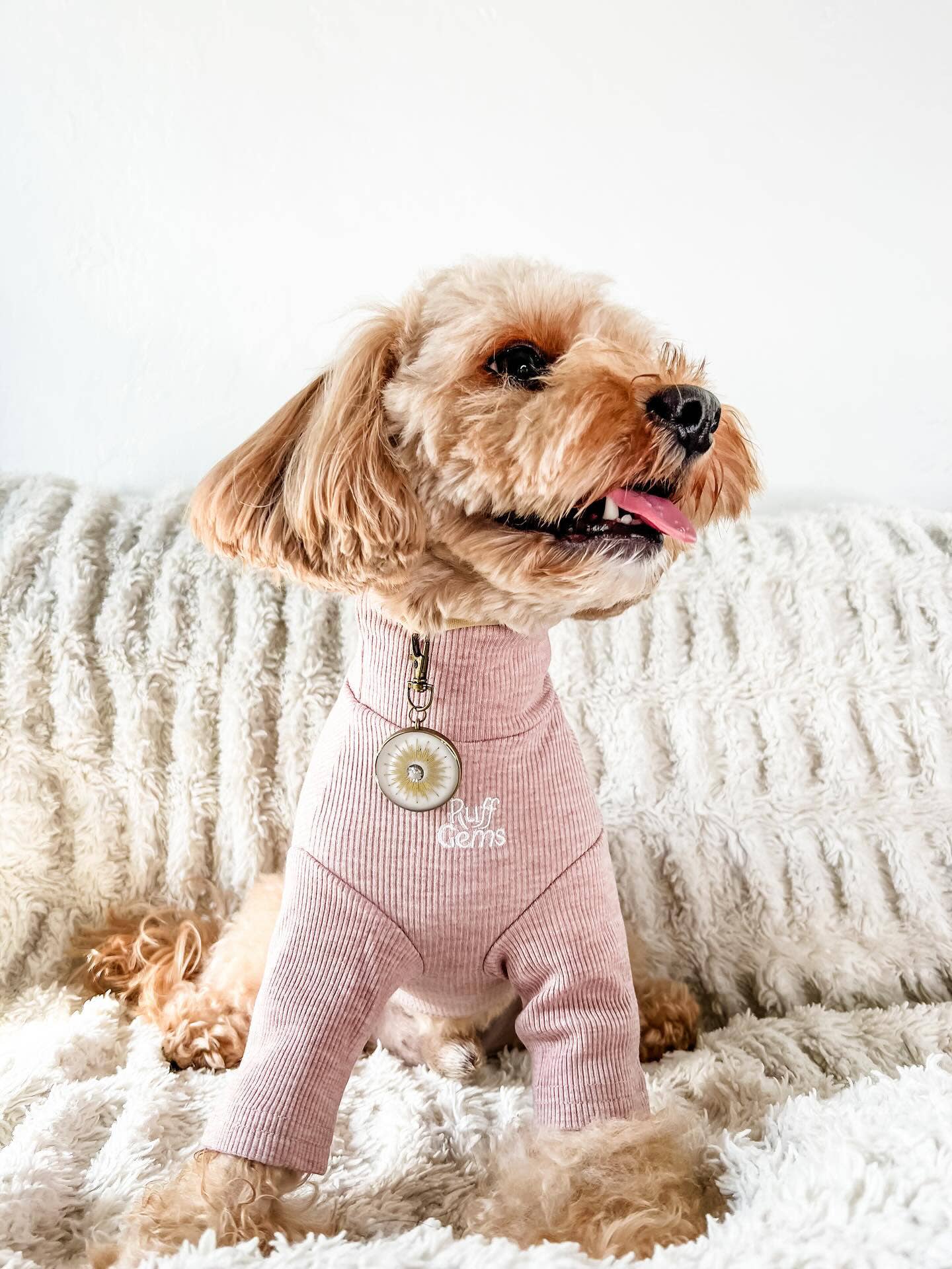 Ruff Gems Co - Wholesale Pet Shirt - Dog - Ultra Comfortable Luxury Dog Ribbed Stretch T Shirt16