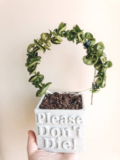 Hoop Trellis for wholesale by CMbeautifuldesigns