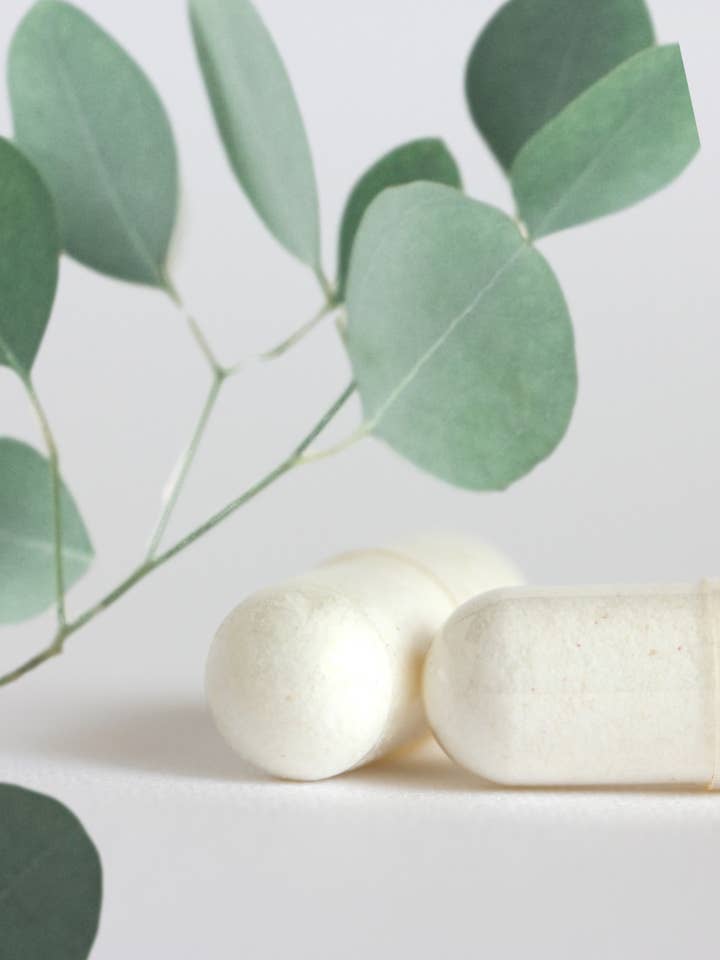 Healing Vibes Boric Acid Suppositories w/Aloe for wholesale by Deep Honey