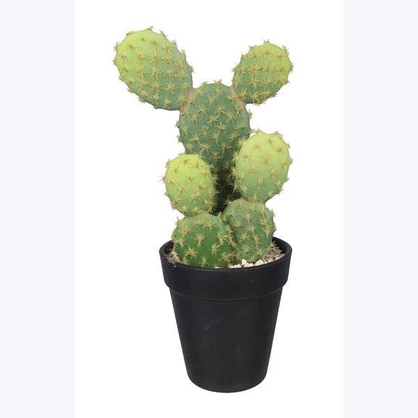 Artificial Cactus In Plastic Pot for wholesale by Young's