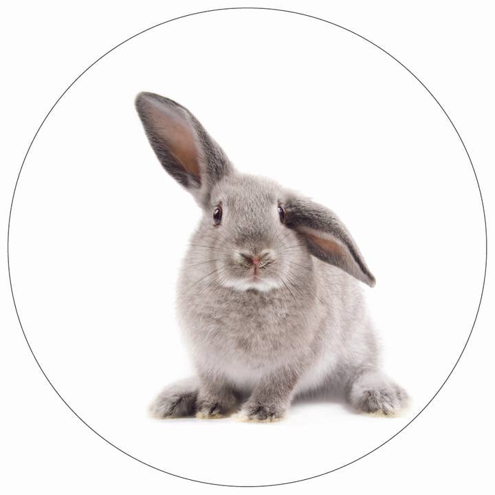 Dekoboard Maxi "Osterhase/Küken" für den Großhandel von dekoboards