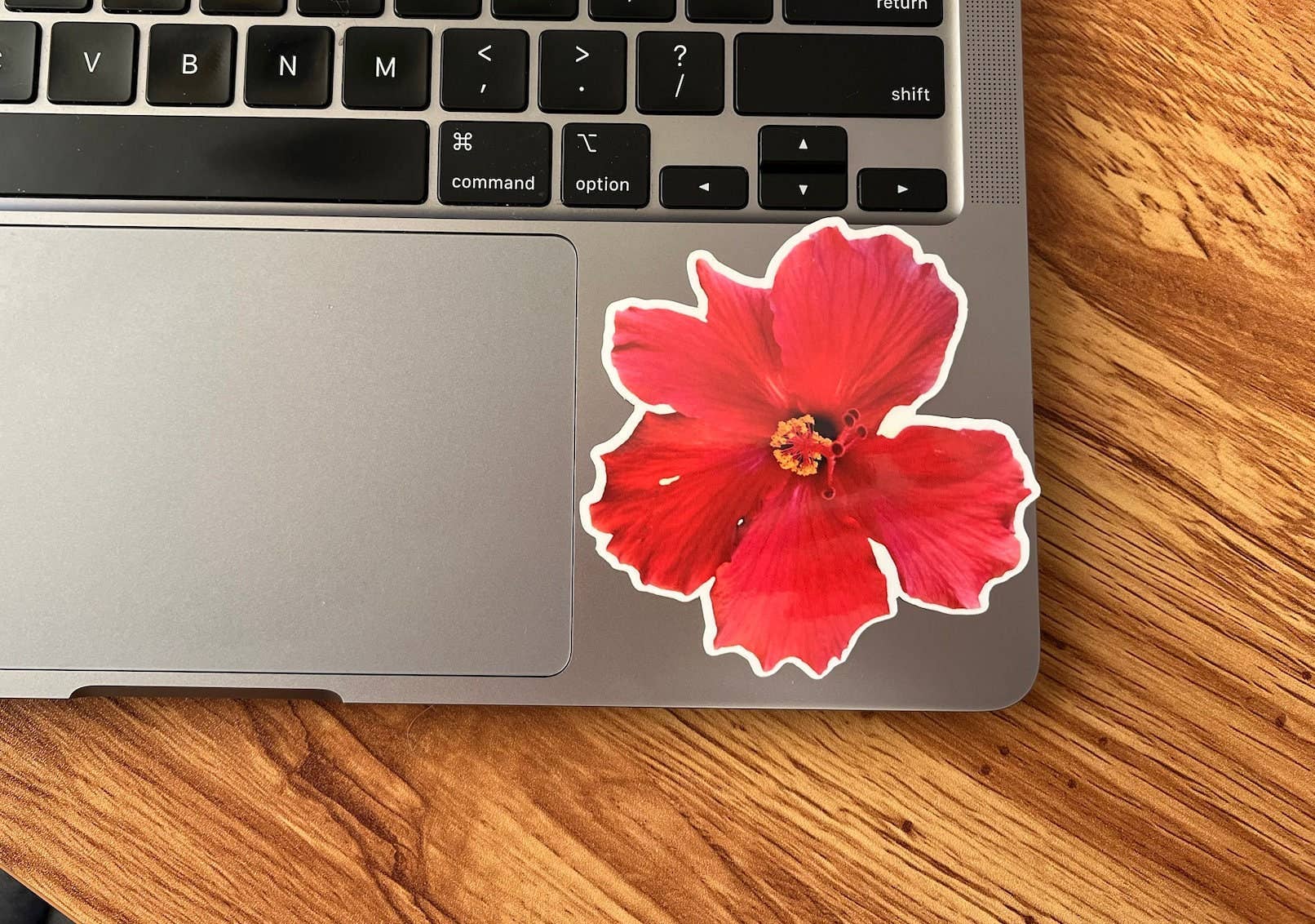 Stick Outside - Wholesale Sticker - Hawaii Hibiscus Flower Sticker1
