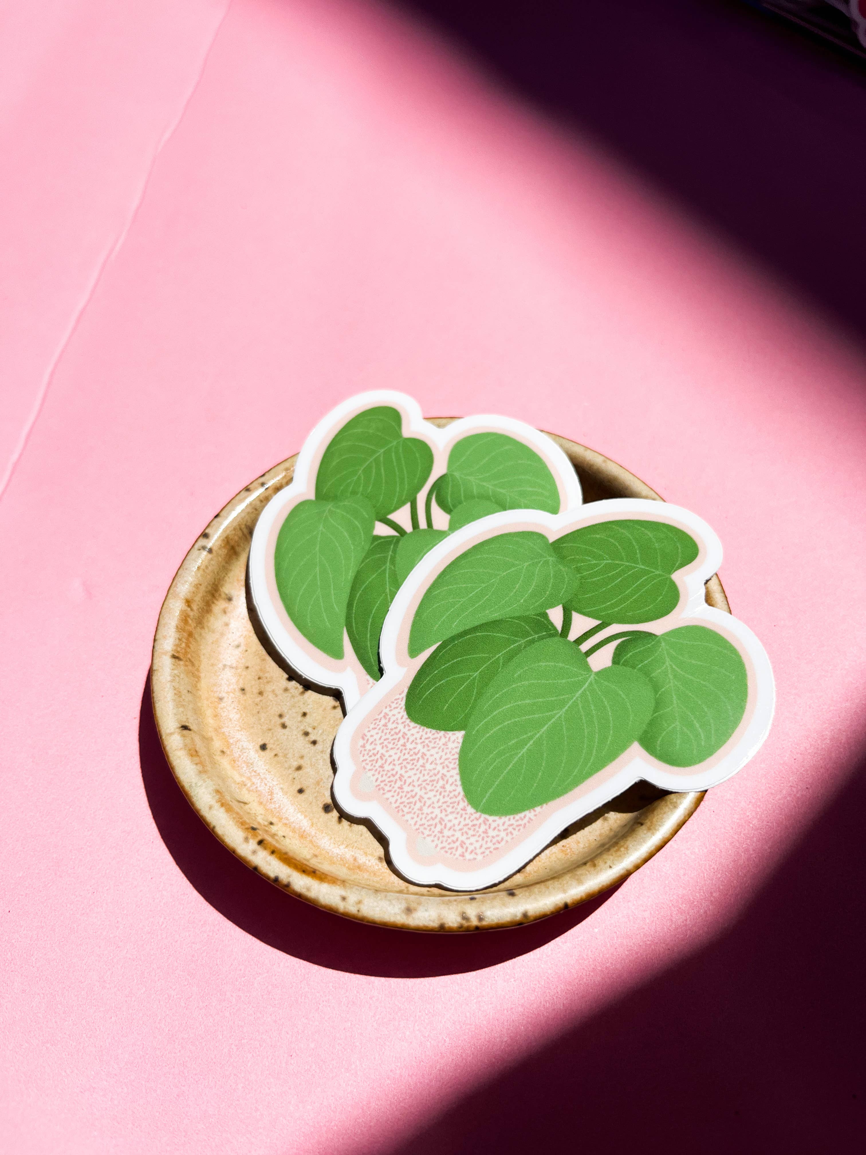 Tiny Plant Market – wholesale Klistermärke – Philodendron Fuzzy Petiole Växt Klistermärke1