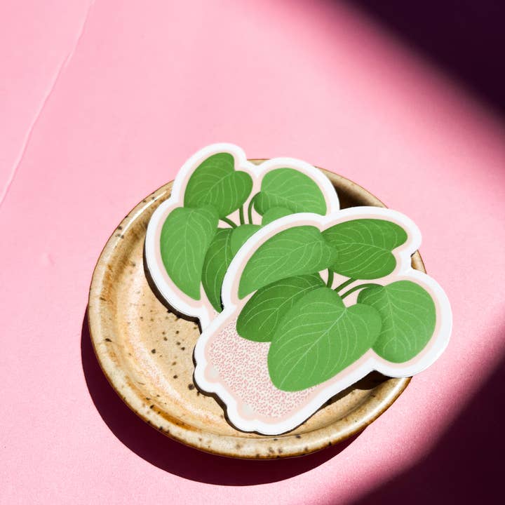 Tiny Plant Market – wholesale Klistermärke – Philodendron Fuzzy Petiole Växt Klistermärke1