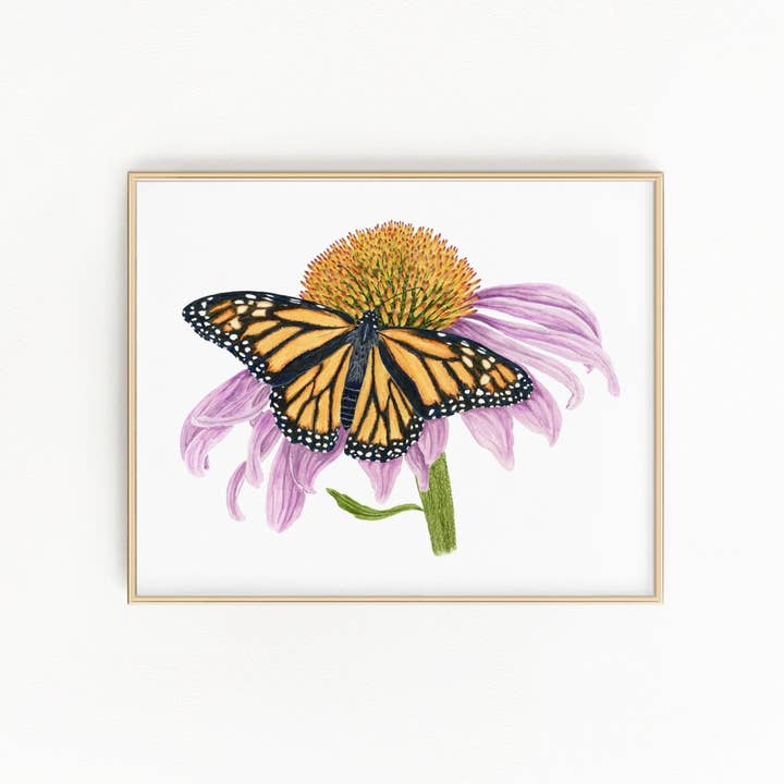 Monarch and Cone Flower Print | Watercolor Monarch Painting for wholesale by Emilie Taylor