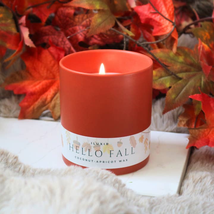 Hello Fall - Apples, Cinnamon, Clove, Nutmeg, Vanilla for wholesale by iluxir