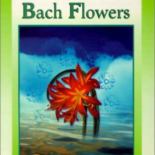Boon Books - Wholesale Body, Mind & Spirit - Pocket Healing Books - Bach Flowers by Susan Holden