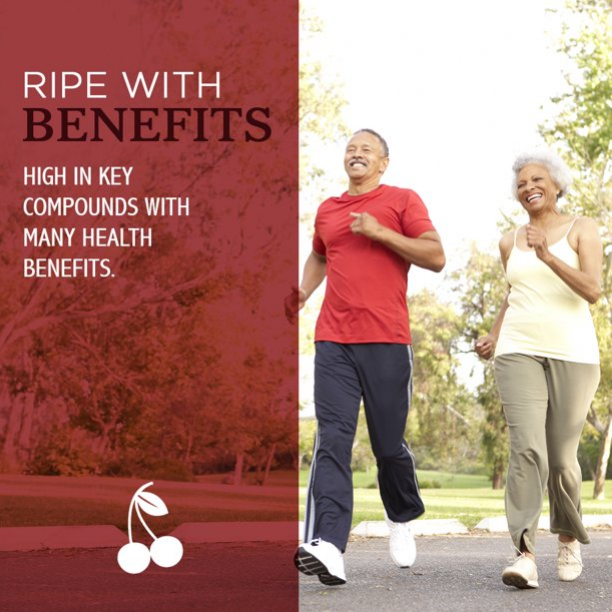 STANTON ORCHARDS - Vente Jus de fruits - Concentré de jus de cerise acidulée 32 FL, oz chacun (paquet de 12)6