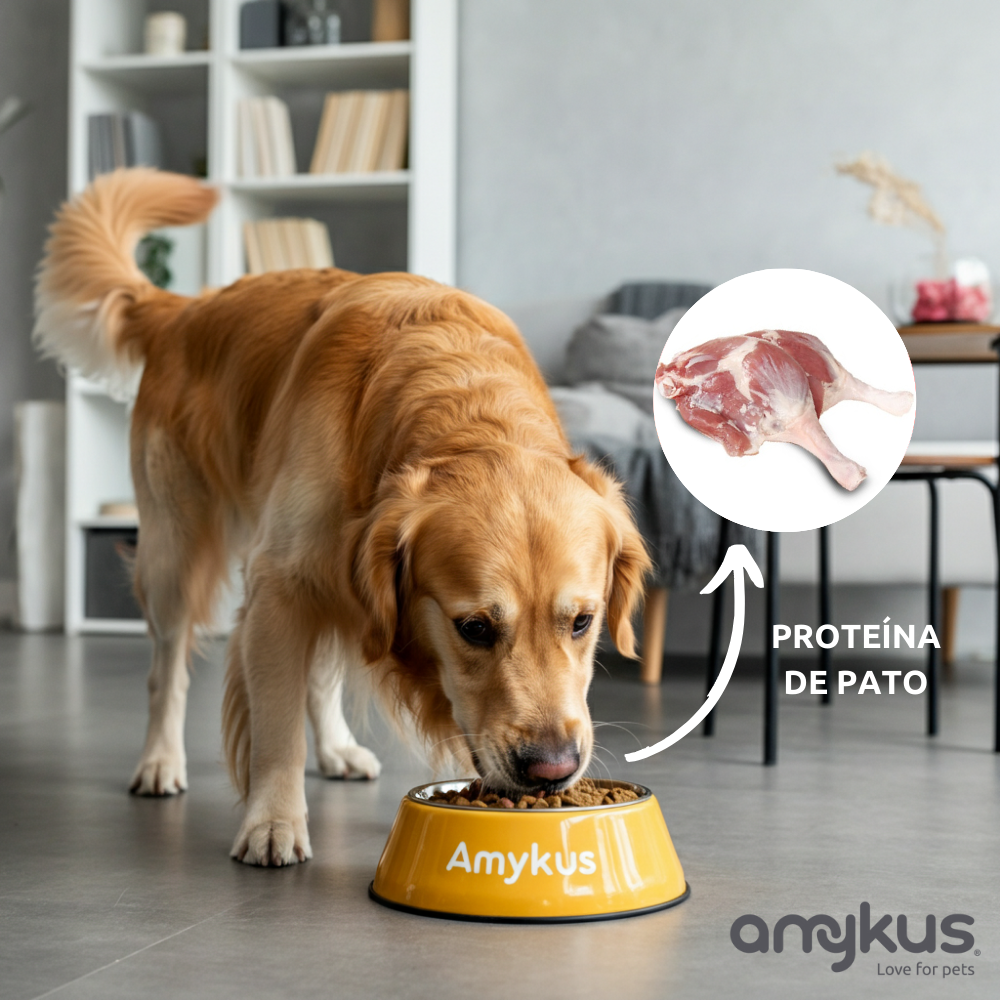 Amykus - Wholesale Pet food – Dog - Amykus grain-free hypoallergenic Turkey & Duck4