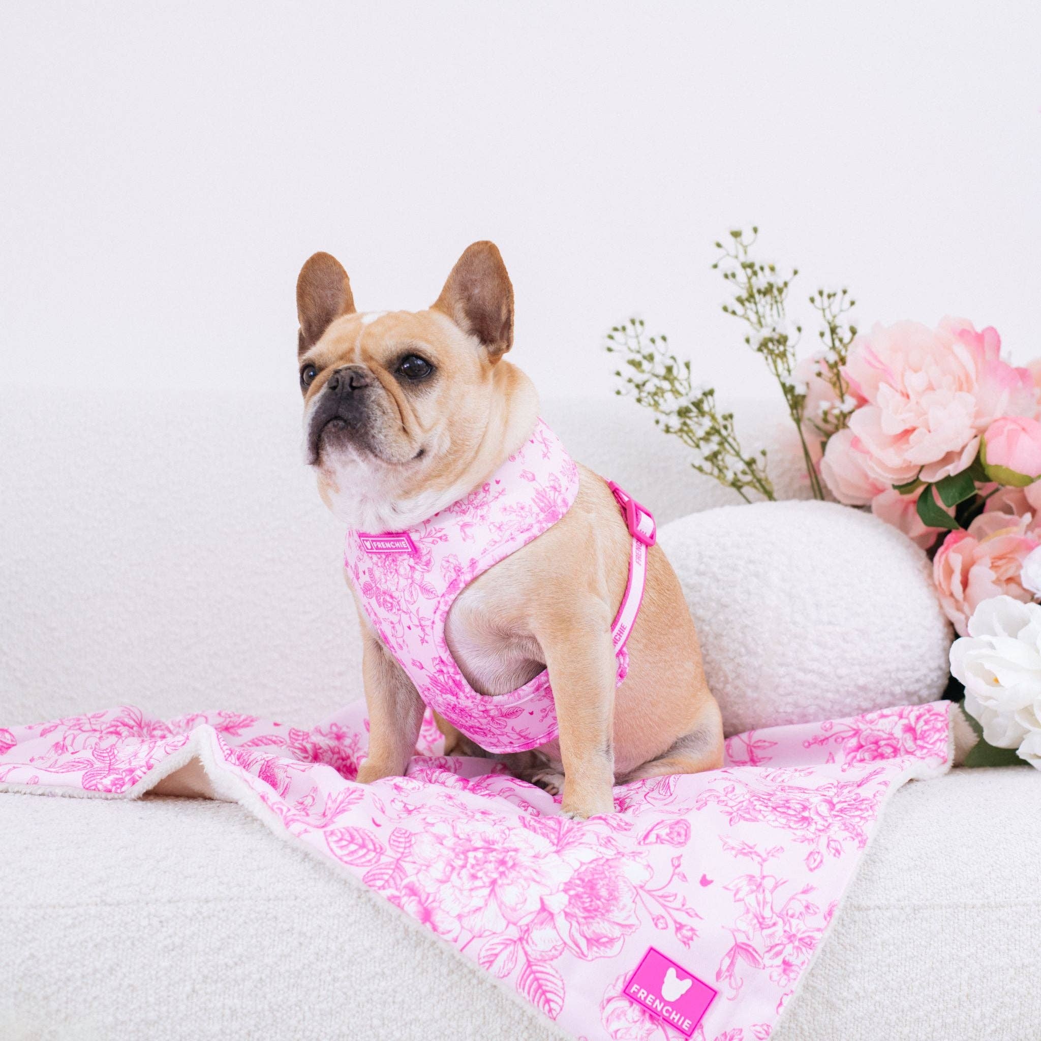 Frenchie - Wholesale Pet Harness - Dog - Frenchie Duo Reversible Harness - Toile- Pink3