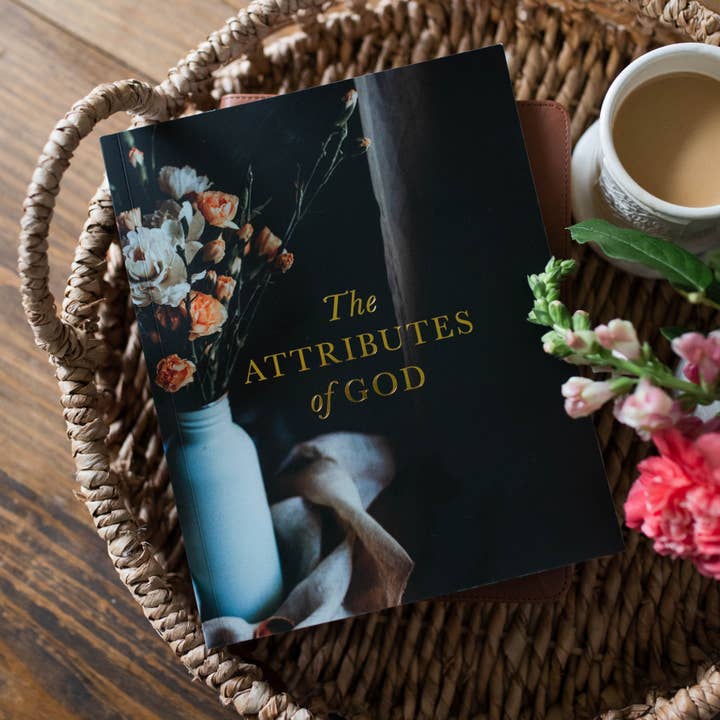 The Daily Grace Co - Wholesale Religion - The Attributes of God Bible Study3