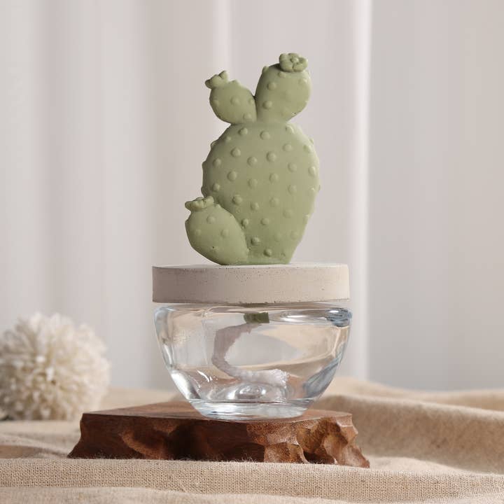 Pretty Valley Home – wholesale Reed diffuser – Cactus - Bunny Ear Cactus ceramic diffuser gift set - 100ml