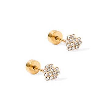 LINNY CO - Vente Clous d'oreille - Boucles d'oreilles à vis - Lion - Transparent