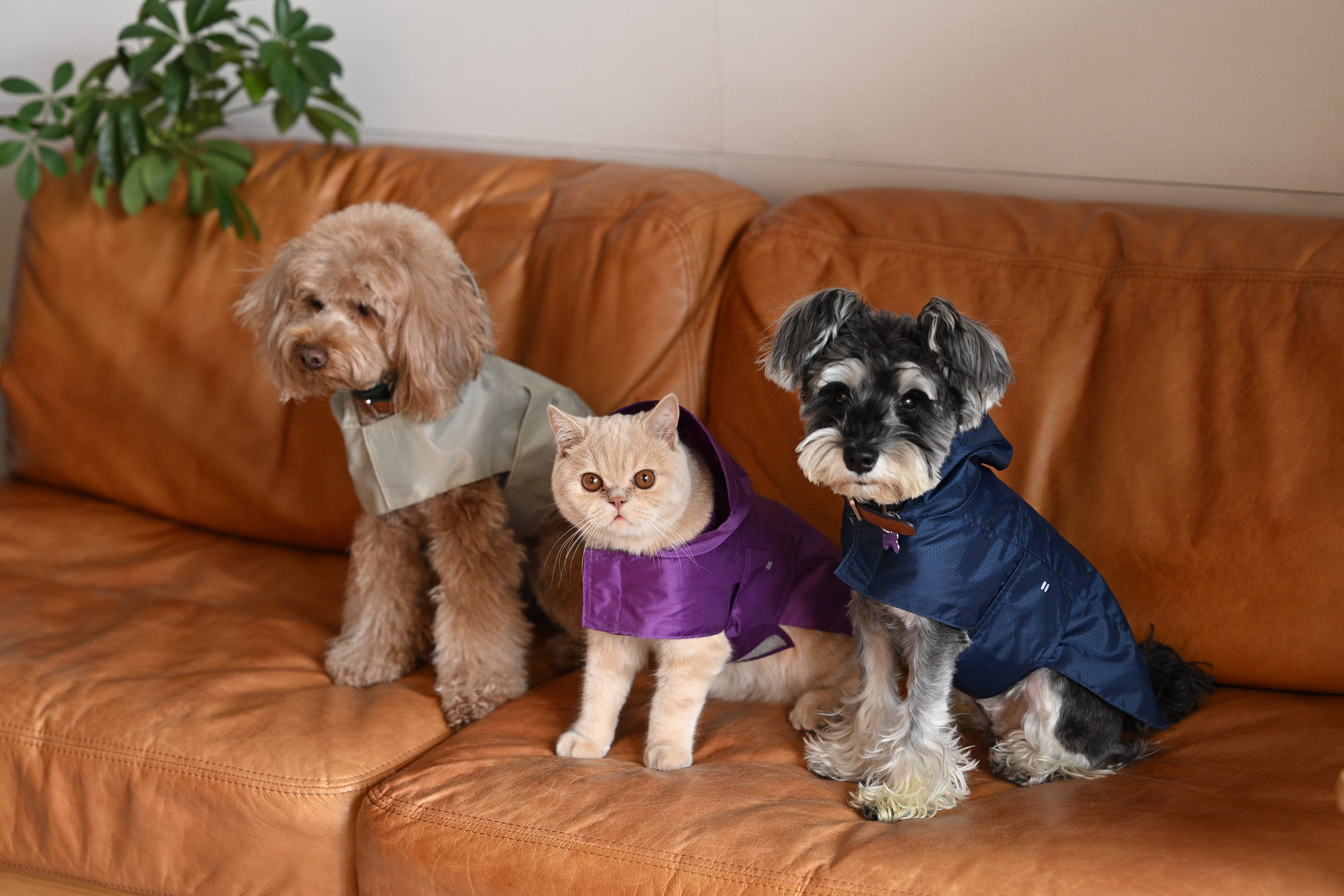 PEHOM - Venta al por mayor Chubasquero - Perros - Impermeable tipo cápsula - Morado8