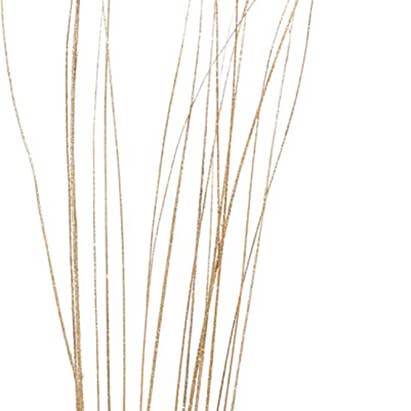 TF Publishing - Paper Goods - Wholesale Dried/Pressed Flowers - Sparkle Glitter Wispies Pack of 20 Stems 36in Champagne