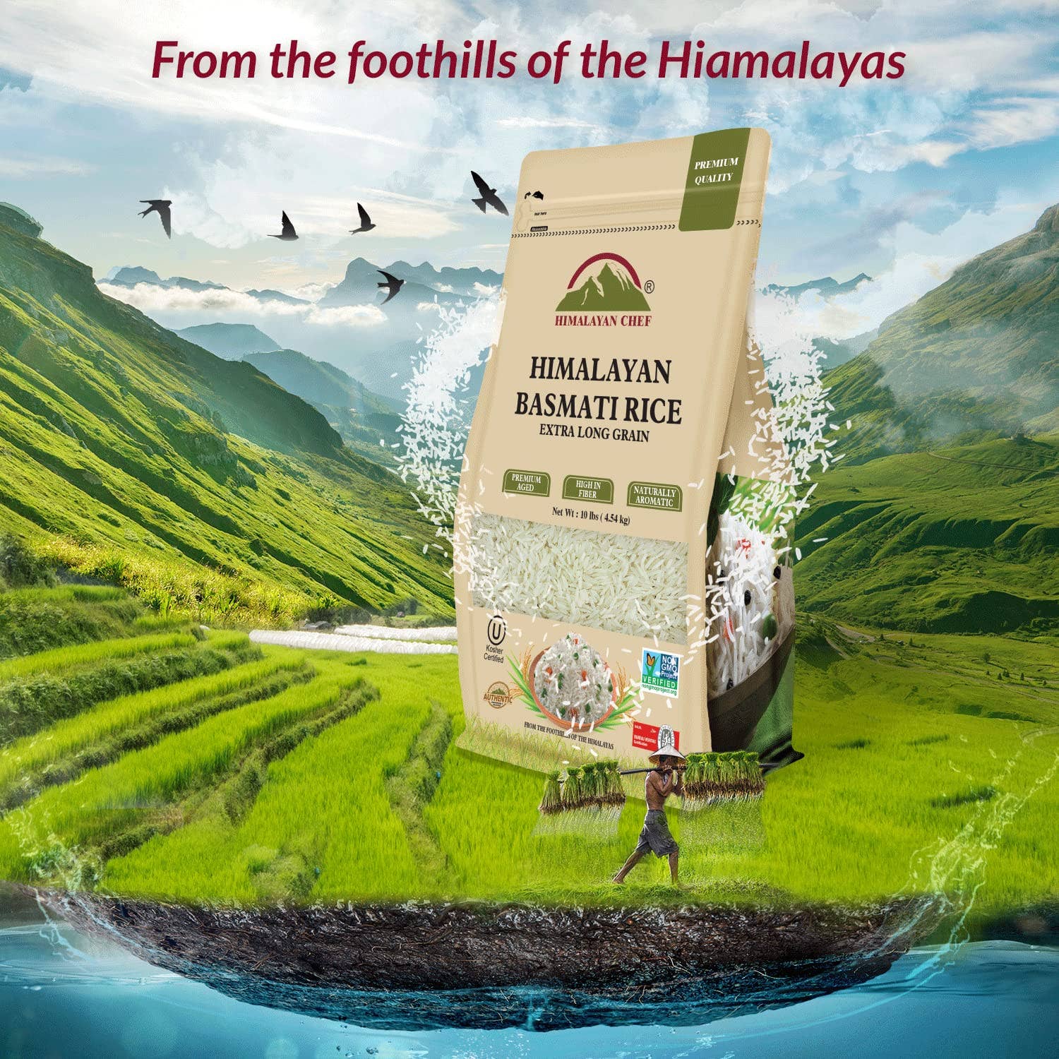 WBM LLC - Wholesale Rice - Himalayan Chef Basmati Rice, Long Grain Resealable Bag, 10lb6