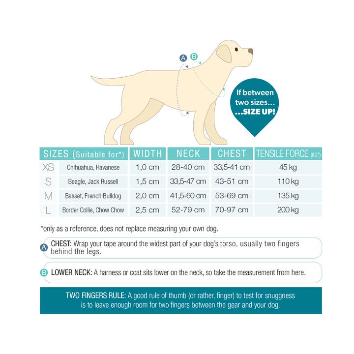 Max & Molly - Wholesale Pet Harness - Dog - GOTCHA! Smart ID Comfort Dog H-Harness - Matrix 2.0 Jade3