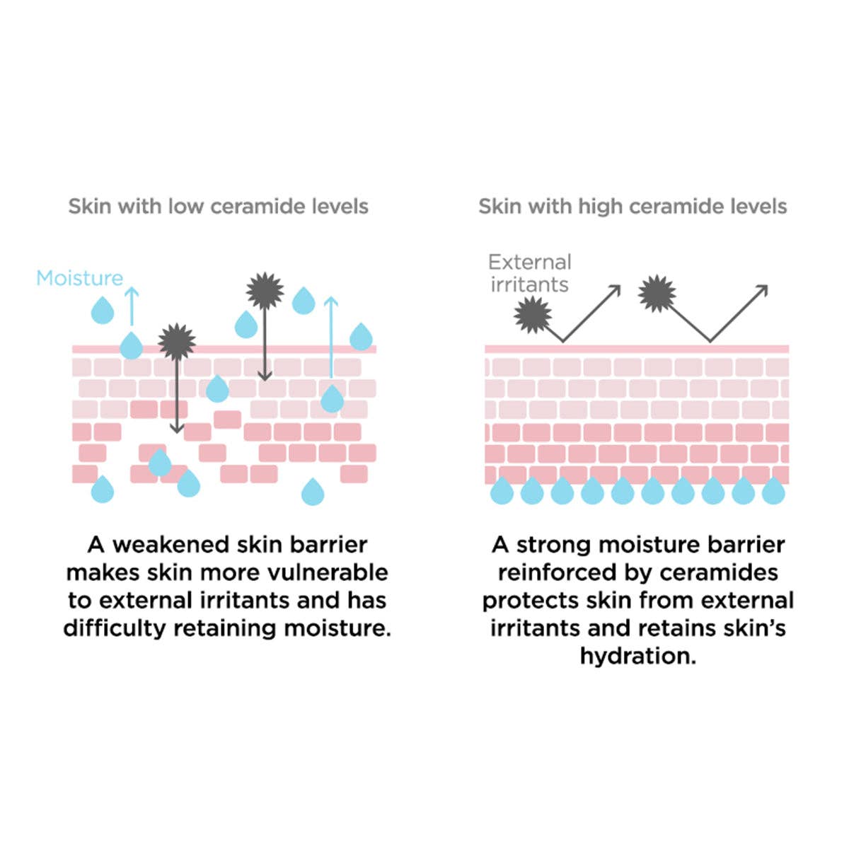 TONYMOLY - Wholesale Facial Toner - Wonder Ceramide Mochi Toner3