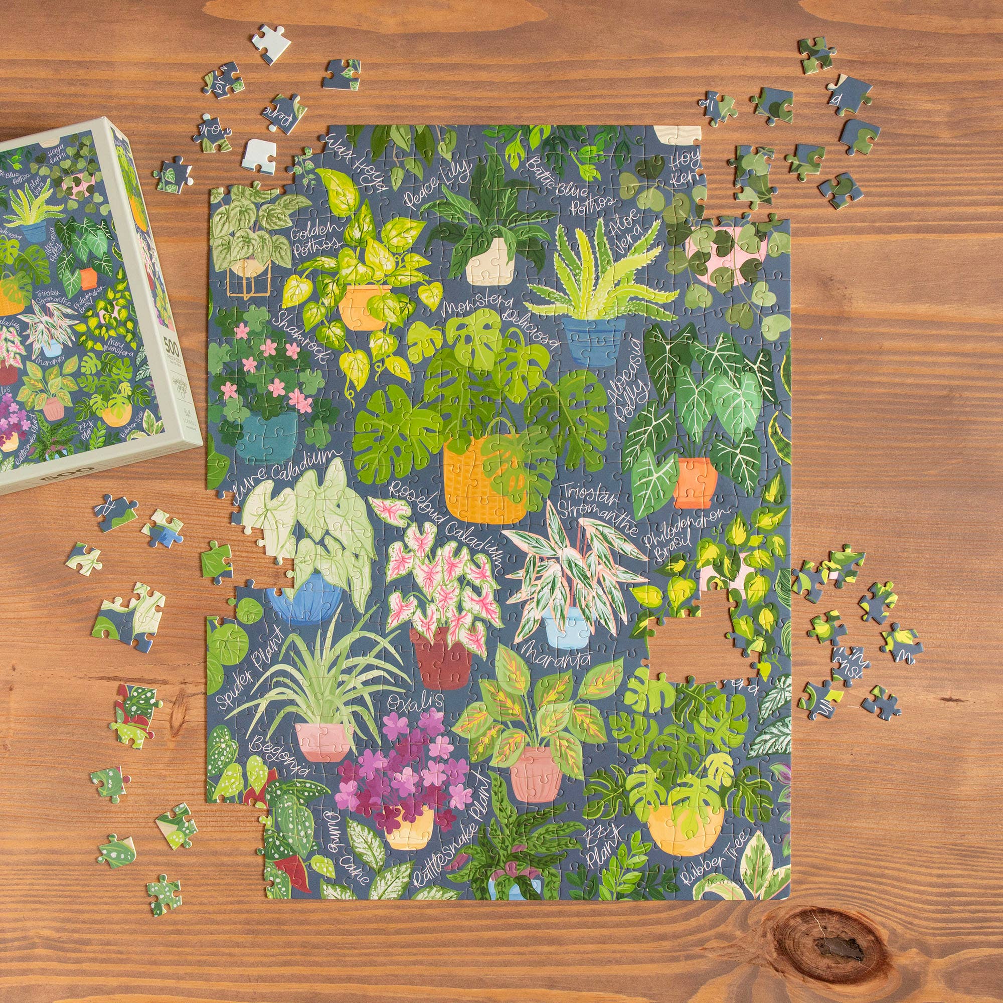 1canoe2 | One Canoe Two Paper Co. - Wholesale Puzzle - Adult - Houseplant Jungle - 500 Piece Jigsaw Puzzle6