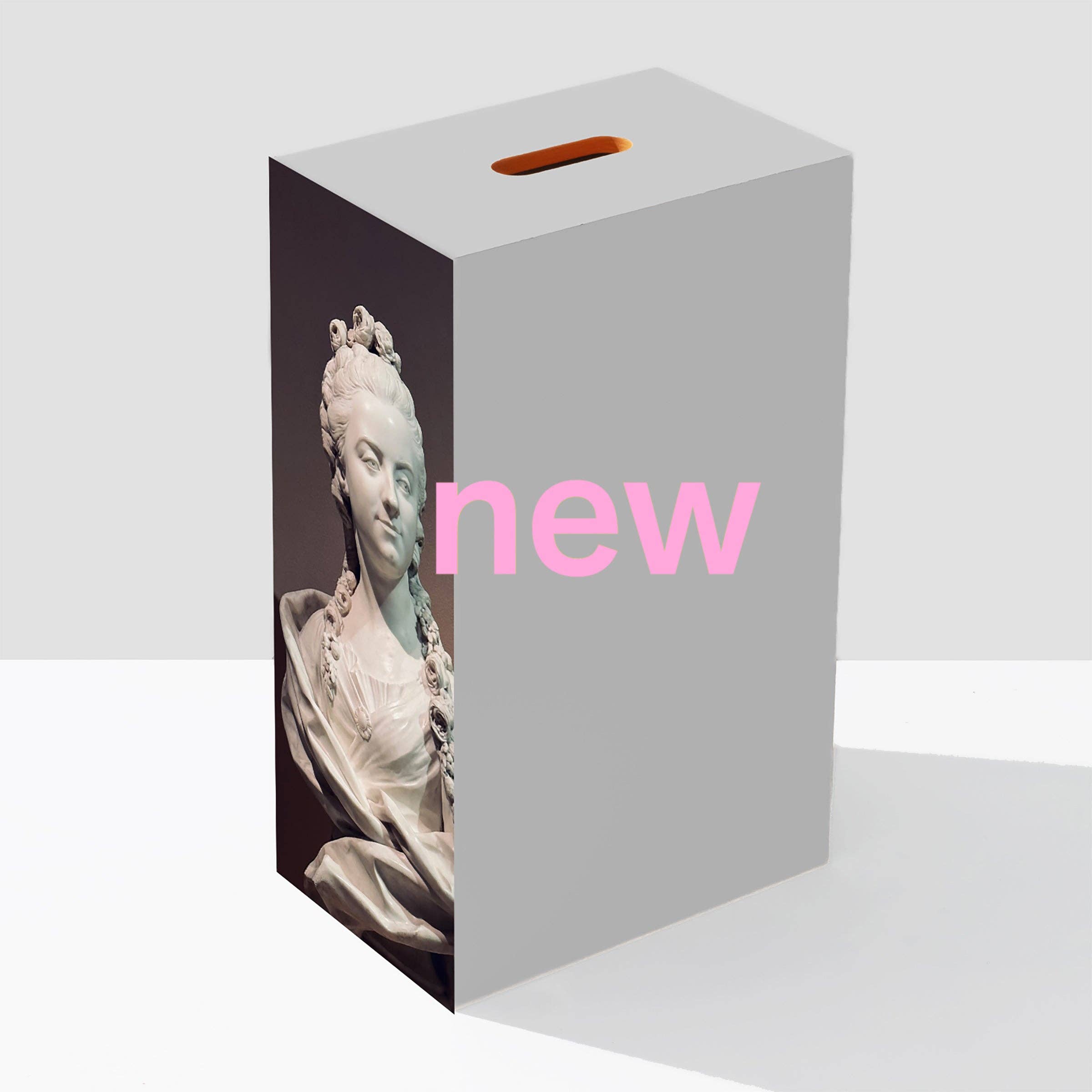 ilan – Caixa decorativa por atacado – 40-a caixa de maçãs-Genevieve-a série de fotografias-ABS Ilan Rubin3