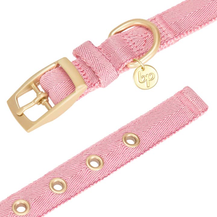 Blueberry Pet - Wholesale Pet Collar - Dog - The Most Coveted Metallic Thread Designer Dog Collar3