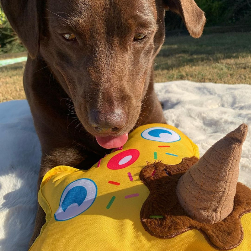 WufWuf - Vente Jouet couineur – chien - Jouet en peluche WufWuf Scoopy Boo Melting Ice Creaky3