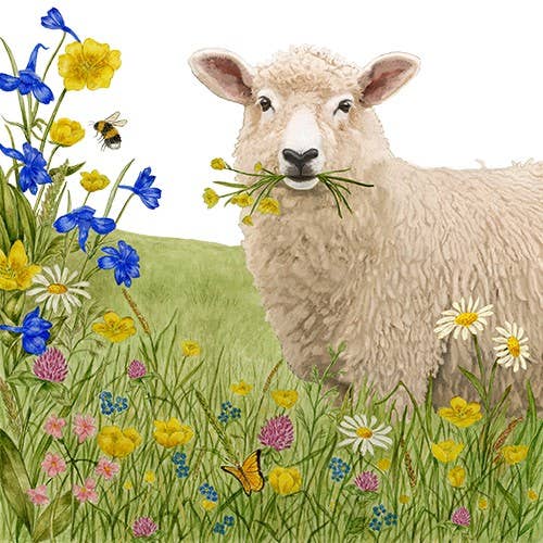 Flour Sack Towels (Set of 2) 34-526 Spring Sheep for wholesale by Alice's Cottage