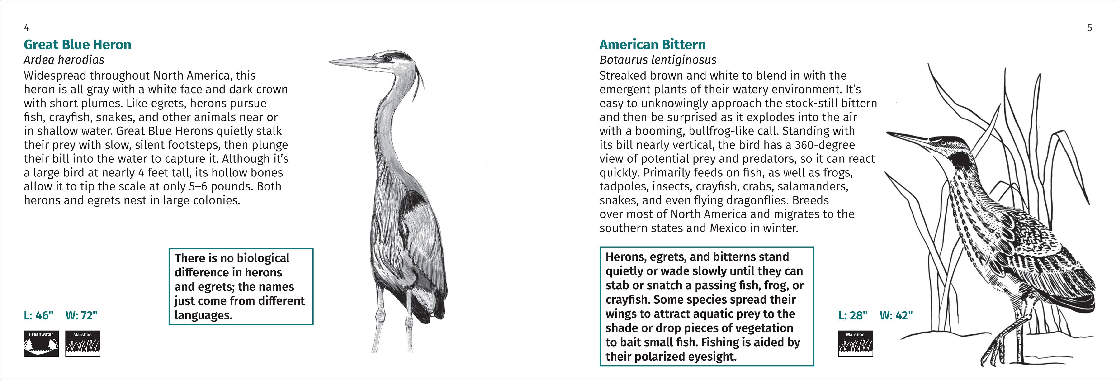 AdventureKEEN - Wholesale Nature & Outdoors - Bird Finder 2e7