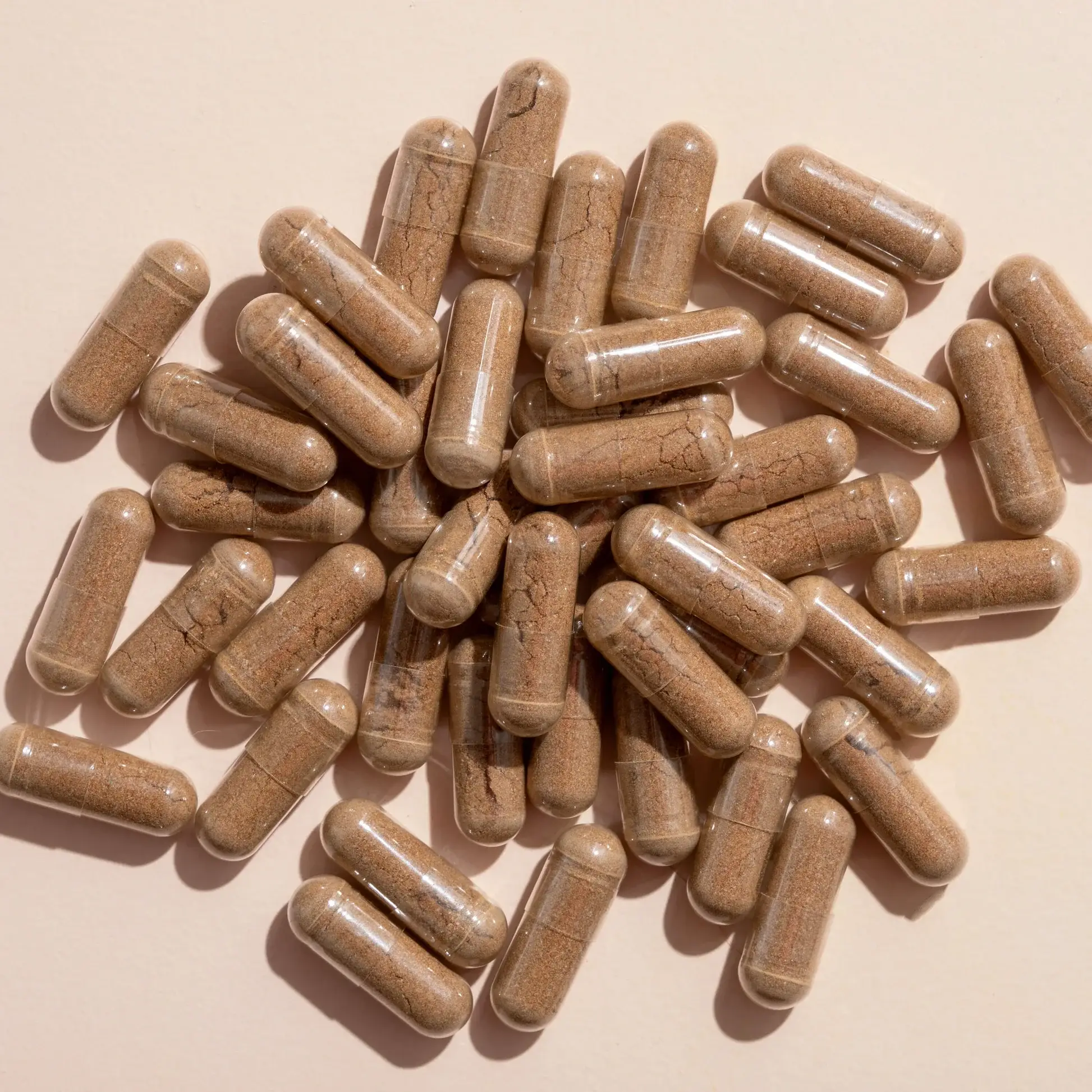 Plant Therapy - Wholesale Oral Supplement/Vitamin - Lion's Mane Herbal Supplement Capsules-120 Capsules4