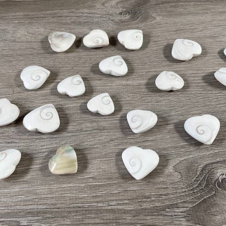 Keystone Crystals - Wholesale Spiritual Stone/Crystal - Shiva Eye Shell Heart – Metaphysical Decor & Gift Item2