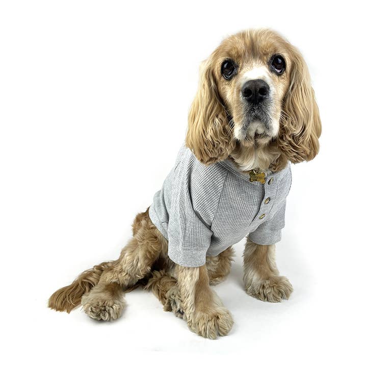 Milltown Brand - Wholesale Pet Shirt - Dog - Dog Waffle Henley T-shirt - Lazy Grey