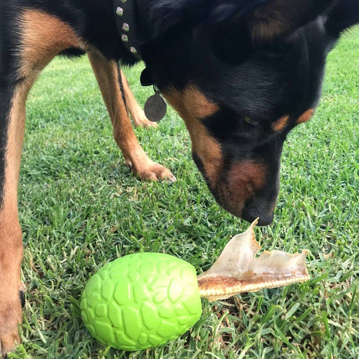 Green Dinosaur Egg - Chew and Enrichment Toy for wholesale on Faire4